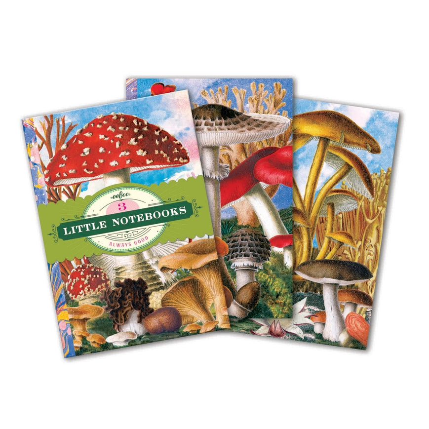 eeBoo Fumiha's Little Book Set of 3 Mushroom Notebooks