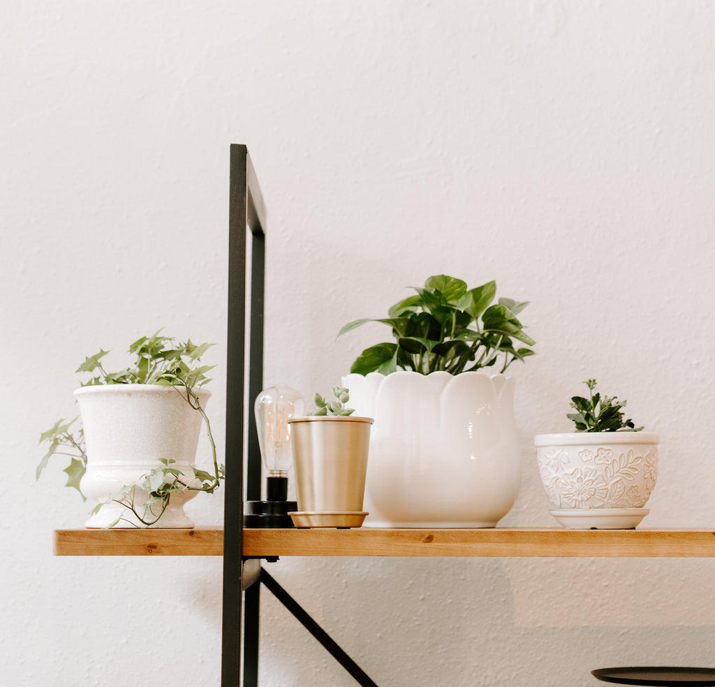 Finding Calm in the Chaos