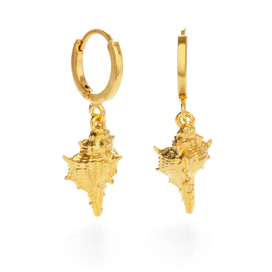 Amano Studio Jewelry Conch Shell Huggie Hoop Earrings