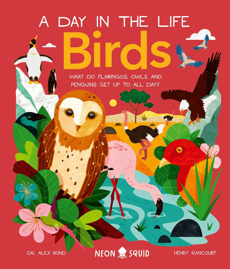 Birds (A Day in the Life): What do Flamingos, Owls, and Penguins Get Up to All Day? by Dr. Alex Bond and illustrated by Henry Rancourt