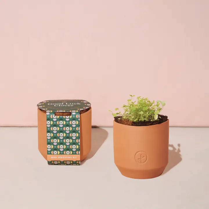 Modern Sprout Tiny Terracotta Grow Kit