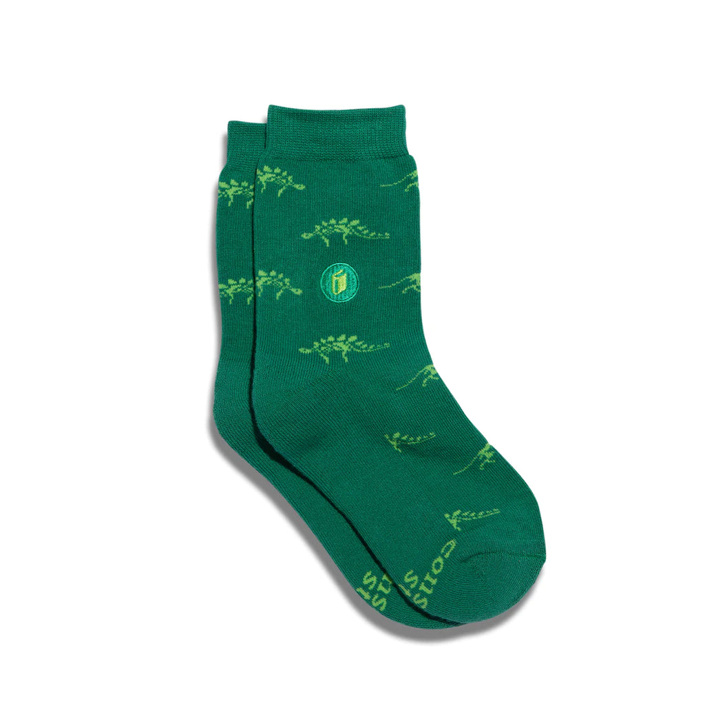 Conscious Step Organic Cotton KIDS Socks that Provide Books - Dinosaurs
