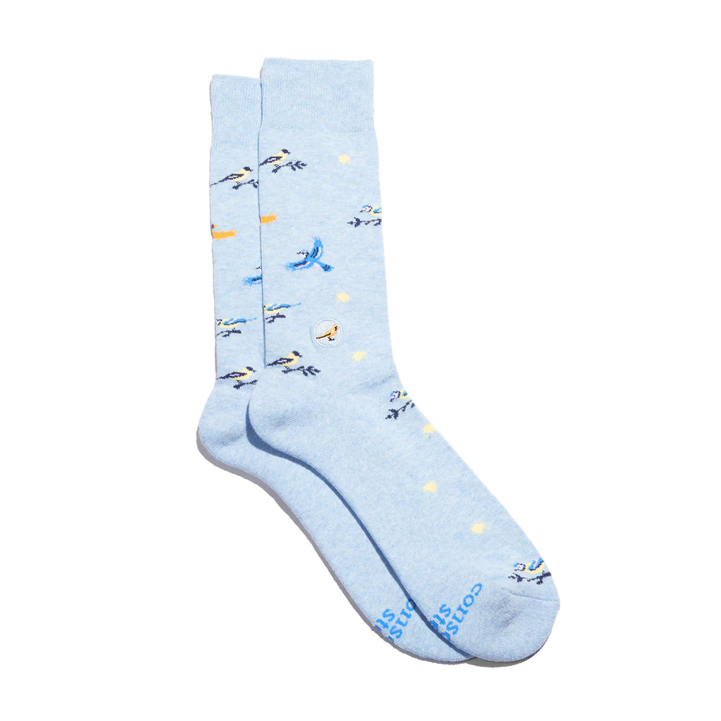 Conscious Step Organic Cotton Socks that Protects Songbirds - Blue Sunny Songbirds