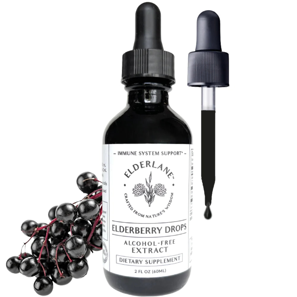 Elderlane™ Immune Support Concentrated Elderberry Drops Sugar-Free Alcohol-Free 2oz