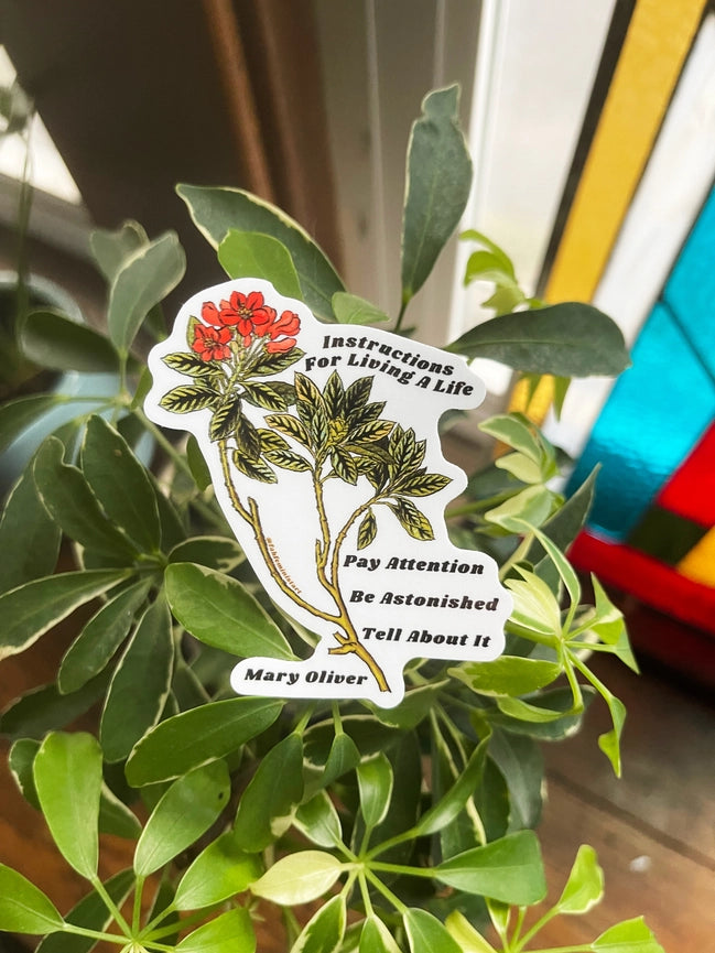 Fabulously Feminist Vinyl Sticker - Mary Oliver Instructions For Living A Life--Pay Attention--Be Astonished--Tell About It