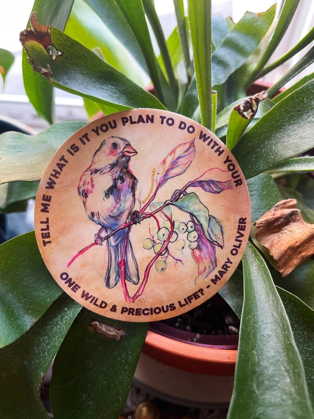 Fabulously Feminist Vinyl Sticker - Mary Oliver Tell Me What It Is You Plan To Do With Your One Wild & Precious Life