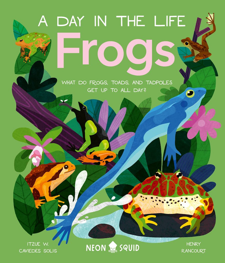 Frogs (A Day in the Life): What do Frogs, Toads, and Tadpoles Get Up to All Day? by Itzue W. Caviedes-Solis and illustrated by Henry Rancourt