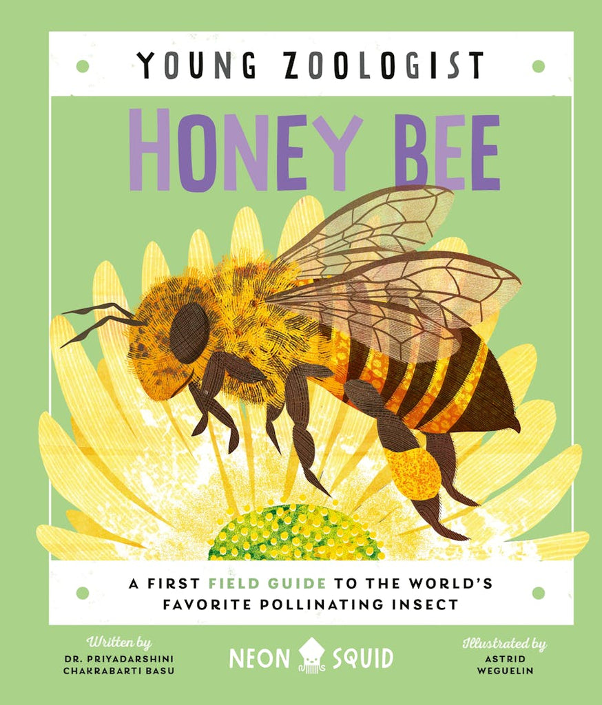 Honey Bee (Young Zoologist): A First Field Guide to the World's Favorite Pollinating Insect by Dr. Priyadarshini Chakrabarti Basu and illustrated by Astrid Weguelin
