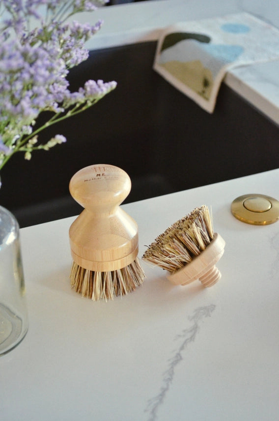 plant pot brush Me.Mother Earth Modular Sisal Multipurpose Bamboo Hand Brush