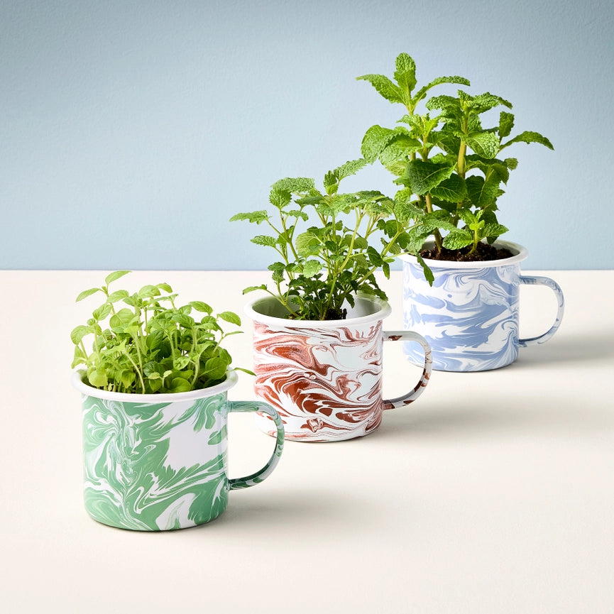Modern Sprout Herbal Tea Altered Herbs Mug Grow Kits – Terra Shepherd ...