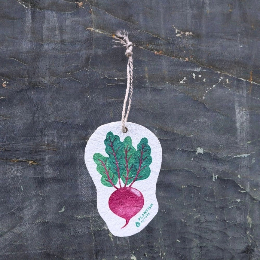 Plantish Pop Up Cellulose Dish Sponges Farm to Kitchen Beet - Natural Zero Waste
