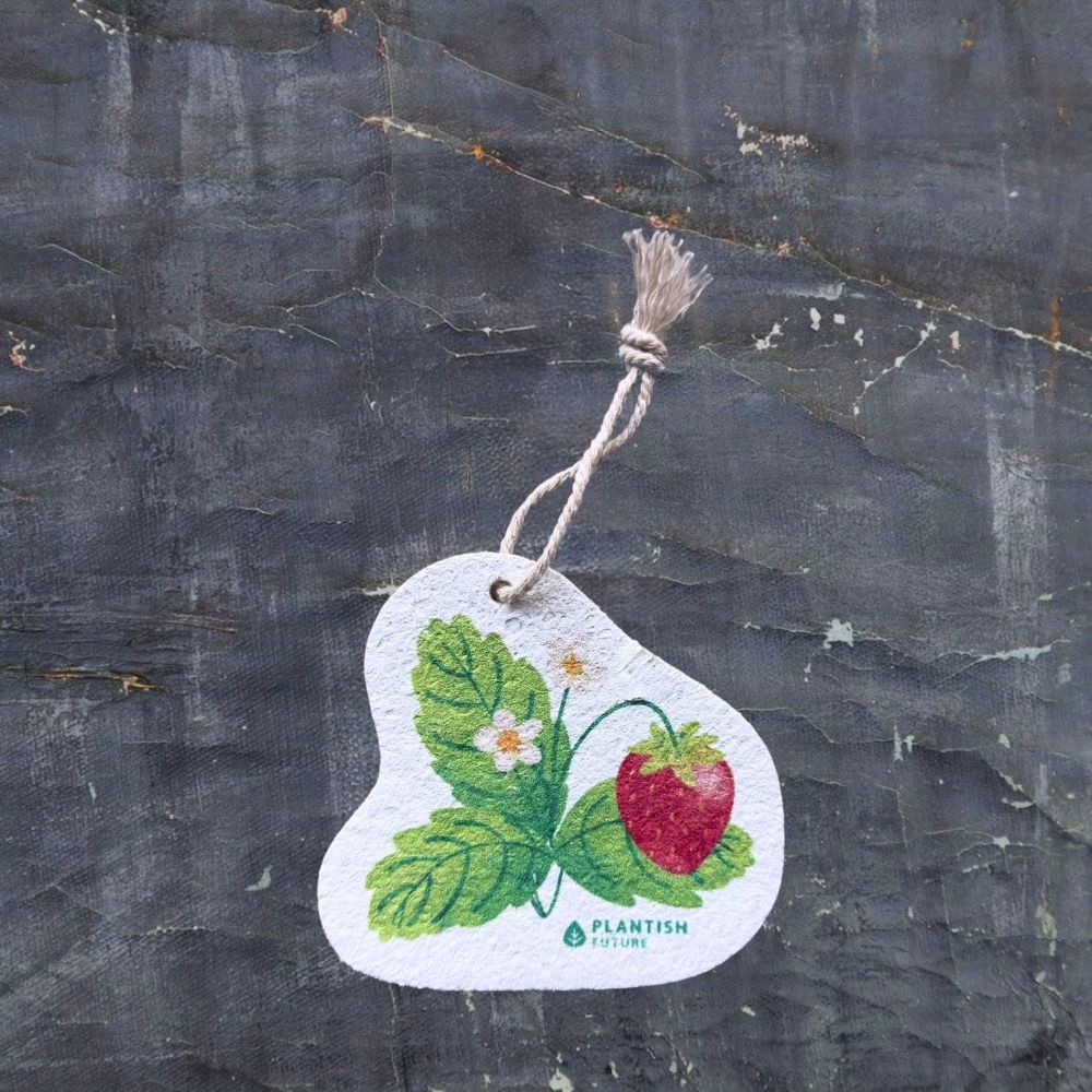 Plantish Pop Up Cellulose Dish Sponges Farm to Kitchen Strawberry - Natural Zero Waste