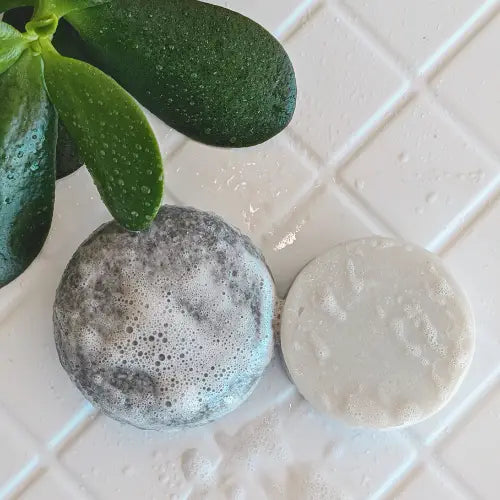 Tangie Zero Waste Scalp Therapy Mint Charcoal Conditioner Bar