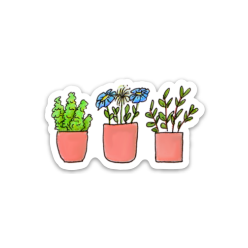 Kevin & Kaia Local Artist Sticker - 3 Plants