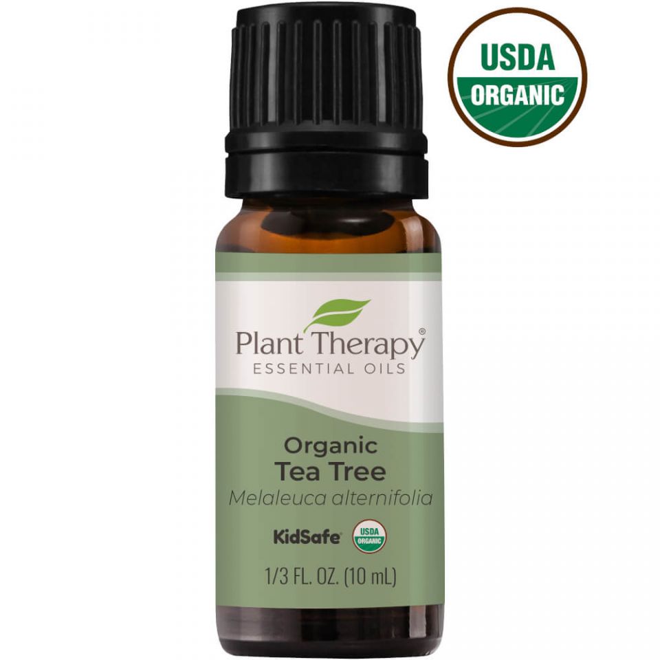 Plant Therapy - Aromatherapy Organic Tea Tree Essential Oil